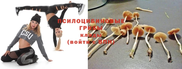 гидропоника Верхнеуральск