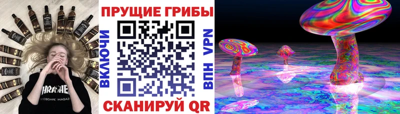 Псилоцибиновые грибы прущие грибы  Купить  Набережные Челны 